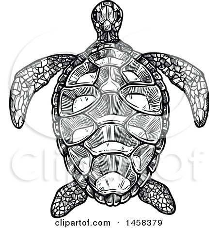 Clipart of a Sea Turtle in Black and White Sketched Style - Royalty Free Vector Illustration by Vector Tradition SM