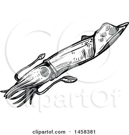 Clipart of a Squid in Black and White Sketched Style - Royalty Free Vector Illustration by Vector Tradition SM