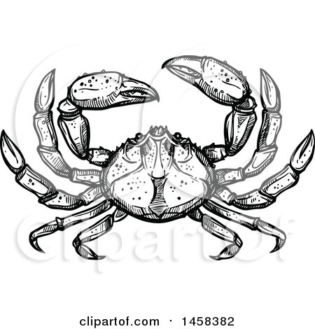 Clipart of a Crab in Black and White Sketched Style - Royalty Free Vector Illustration by Vector Tradition SM