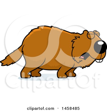 Clipart of a Howling Woodchuck Groundhog Whistlepig - Royalty Free Vector Illustration by Cory Thoman