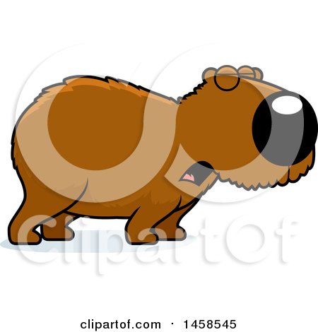 Clipart of a Howling Capybara - Royalty Free Vector Illustration by Cory Thoman