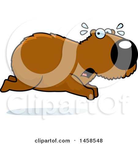 Clipart of a Scared Capybara Running - Royalty Free Vector Illustration by Cory Thoman