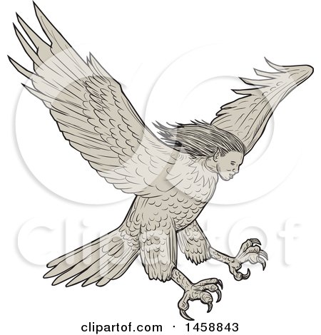 Clipart of a Flying Harpy Eagle, in Sketched Drawing Style - Royalty Free Vector Illustration by patrimonio
