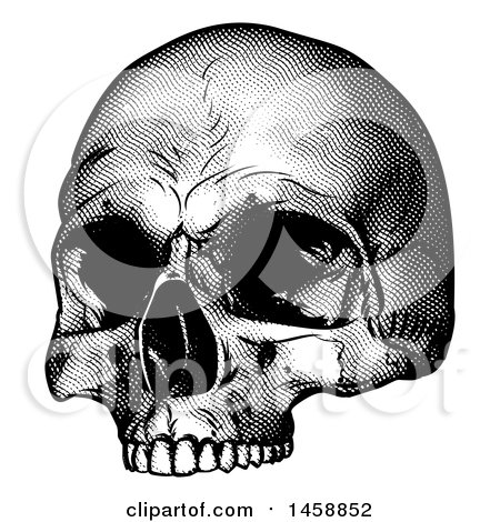 Clipart of a Human Skull, Black and White Vintage Etched Style - Royalty Free Vector Illustration by AtStockIllustration