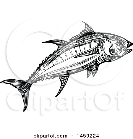 Clipart of a Sketched Tuna Fish in Black and White - Royalty Free Vector Illustration by Vector Tradition SM