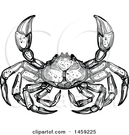 Clipart of a Sketched Crab in Black and White - Royalty Free Vector Illustration by Vector Tradition SM