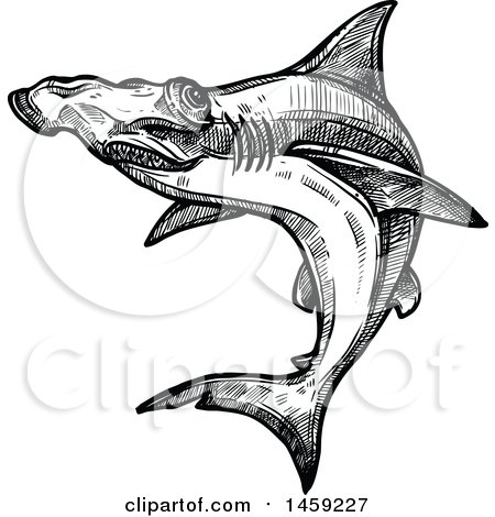 Clipart of a Sketched Hammerhead Shark in Black and White - Royalty Free Vector Illustration by Vector Tradition SM