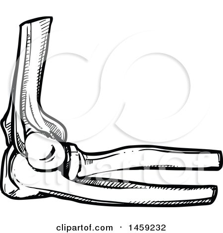 Clipart of a Sketched Human Elbow Joint in Black and White - Royalty Free Vector Illustration by Vector Tradition SM