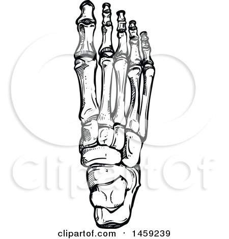 human foot clipart