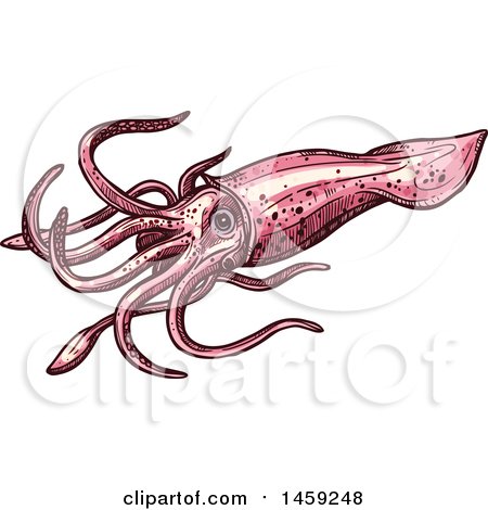 Clipart of a Sketched Squid - Royalty Free Vector Illustration by Vector Tradition SM