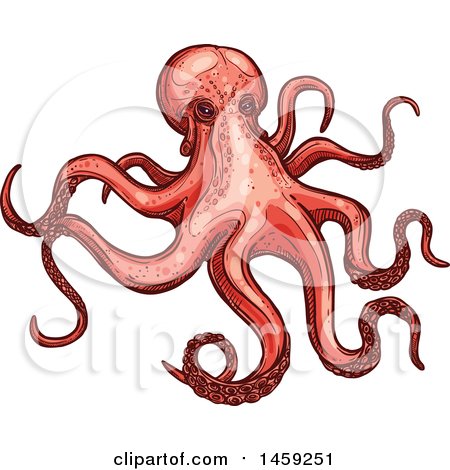 Clipart of a Sketched Octopus - Royalty Free Vector Illustration by Vector Tradition SM