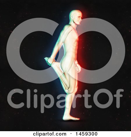 Clipart of a 3d Medical Male Figure Stretching His Leg, with Dual Color Effect over Black - Royalty Free Illustration by KJ Pargeter