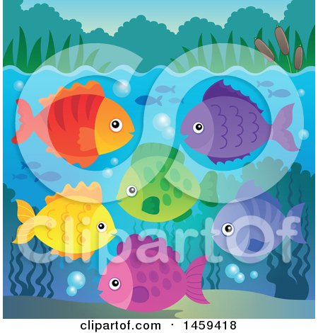 Clipart of a Group of Colorful Fish - Royalty Free Vector Illustration by visekart