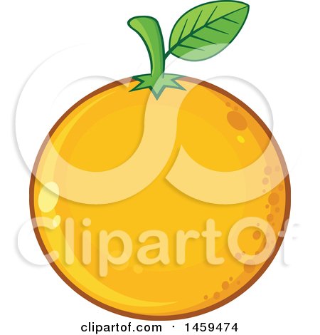 Clipart of a Navel Orange Fruit - Royalty Free Vector Illustration by Hit Toon