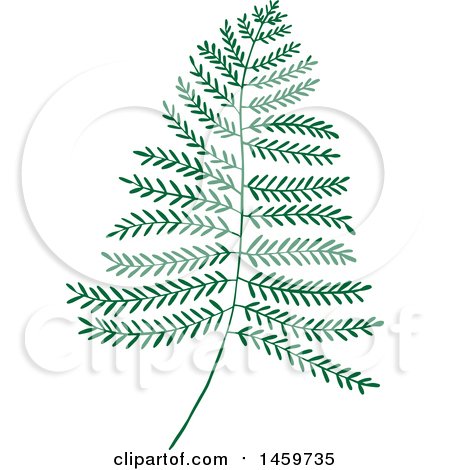 Clipart of a Fern Leaf - Royalty Free Vector Illustration by Cherie Reve