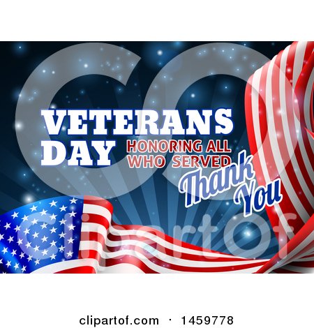 Thank You Veterans Posters & Prints