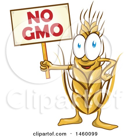 Clipart of a Wheat Mascot Holding a No Gmo Sign - Royalty Free Vector Illustration by Domenico Condello