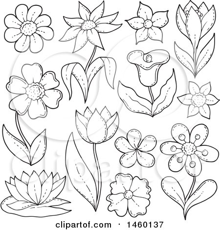 Clipart of Sketched Black and White Flowers - Royalty Free Vector Illustration by visekart