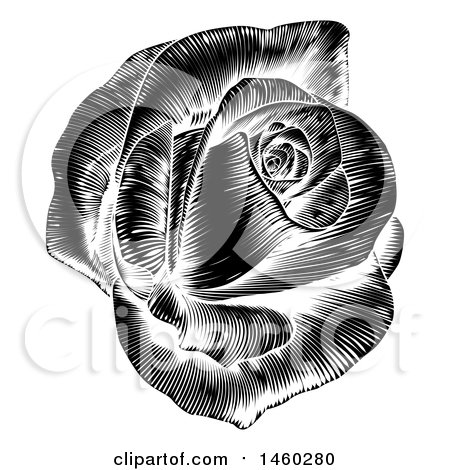 Clipart of a Black and White Engraved Rose - Royalty Free Vector Illustration by AtStockIllustration