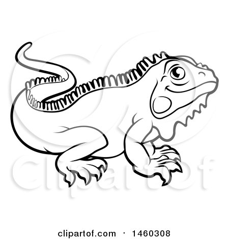 Clipart of a Black and White Iguana Lizard - Royalty Free Vector Illustration by AtStockIllustration