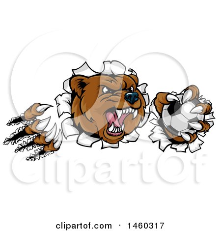 Clipart of a Vicious Aggressive Bear Mascot Slashing Through a Wall with a Soccer Ball in a Paw - Royalty Free Vector Illustration by AtStockIllustration
