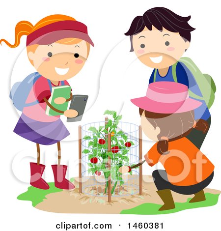 Clipart of a Group of Children Taking Pictures of a Tomato Plant in a Garden - Royalty Free Vector Illustration by BNP Design Studio