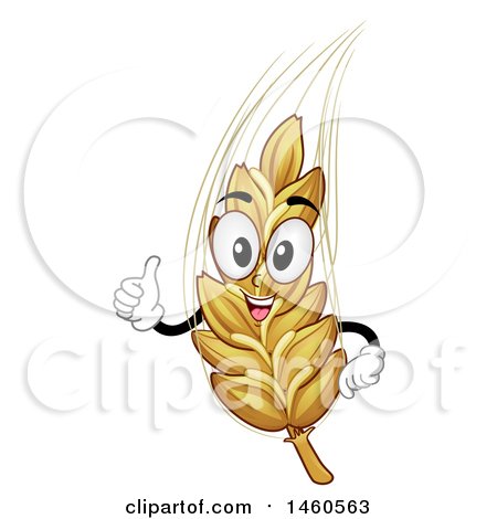 Clipart of a Wheat or Barley Mascot Giving a Thumb up - Royalty Free Vector Illustration by BNP Design Studio