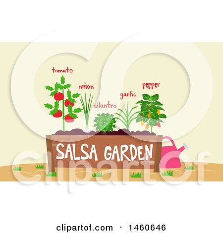 Clipart of a Salsa Garden Bed with Text and a Watering Can - Royalty Free Vector Illustration by BNP Design Studio