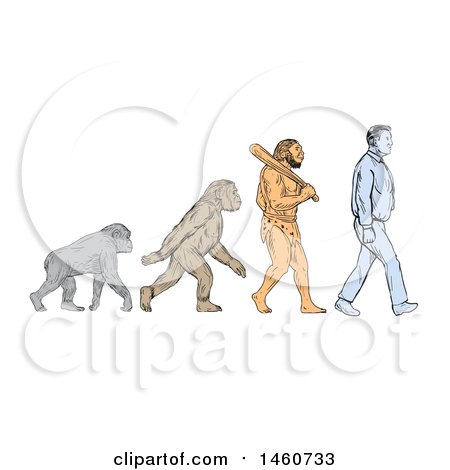 Clipart of a Line of Human Evolution in Sketched Drawing Style - Royalty Free Vector Illustration by patrimonio