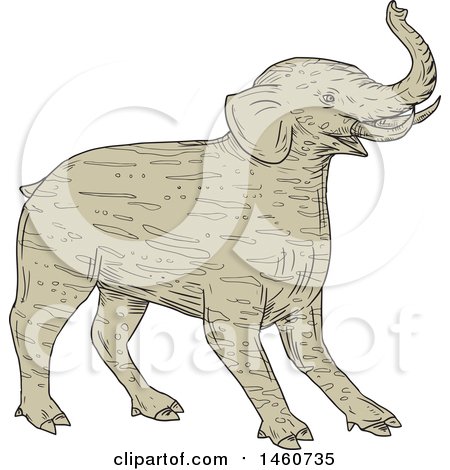 Clipart of a Tapir like Baku Mythicial Creature in Sketched Drawing Style - Royalty Free Vector Illustration by patrimonio