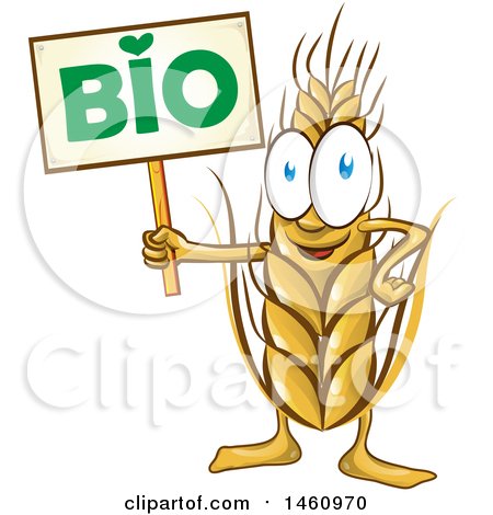 Clipart of a Wheat Character Holding a Bio Sign - Royalty Free Vector Illustration by Domenico Condello