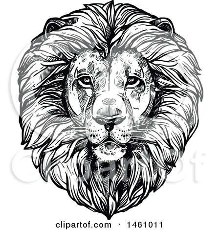 Clipart of a Sketched Majestic Male Lion Head - Royalty Free Vector Illustration by Vector Tradition SM