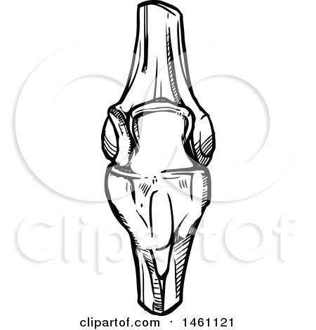 Clipart of a Sketched Knee Joint - Royalty Free Vector Illustration by Vector Tradition SM