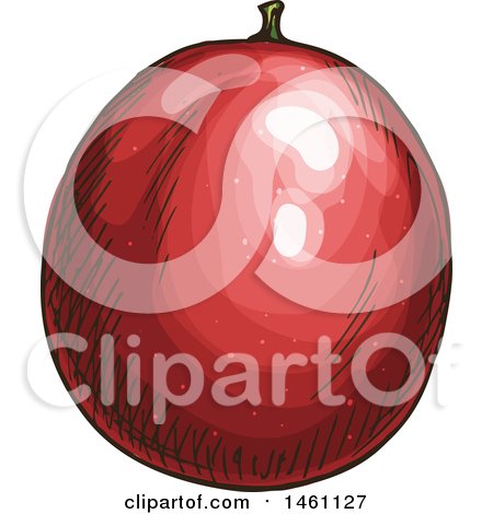 Clipart of a Sketched Passion Fruit - Royalty Free Vector Illustration by Vector Tradition SM