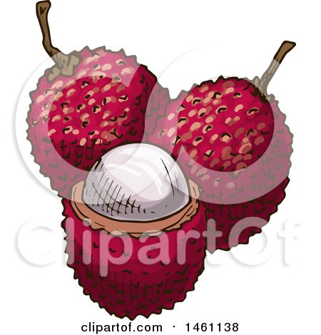 Clipart of Sketched Lychee Fruits - Royalty Free Vector Illustration by Vector Tradition SM
