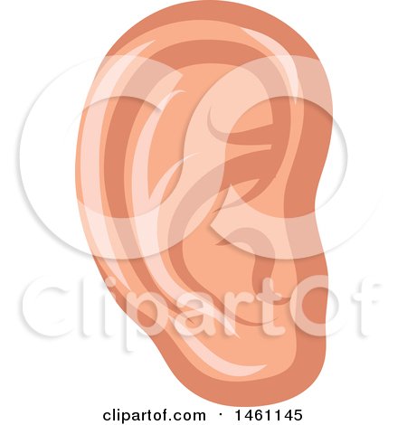 Clipart of a Human Ear - Royalty Free Vector Illustration by Vector Tradition SM