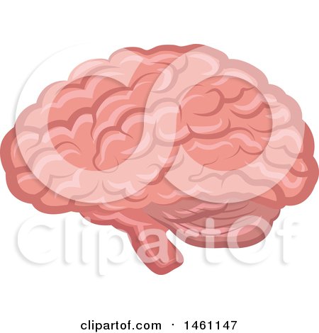 Clipart of a Brain - Royalty Free Vector Illustration by Vector Tradition SM