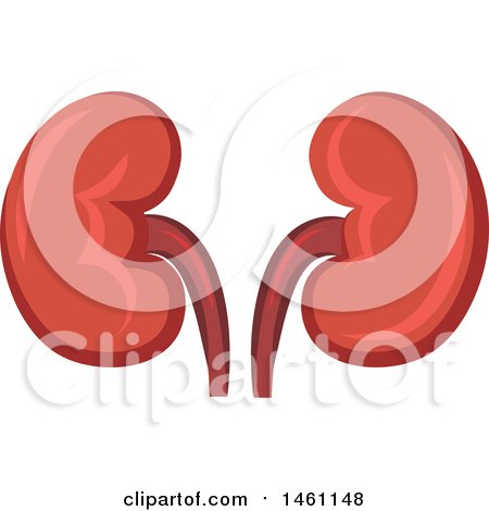 Cartoon of a Sick Kidney Organ Mascot with a Thermometer - Royalty Free
