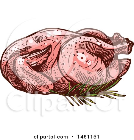 Clipart of a Sketched Raw Chicken - Royalty Free Vector Illustration by Vector Tradition SM