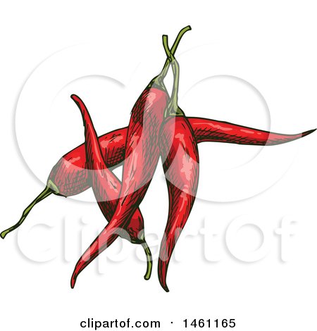 Clipart of Sketched Chile Peppers - Royalty Free Vector Illustration by Vector Tradition SM