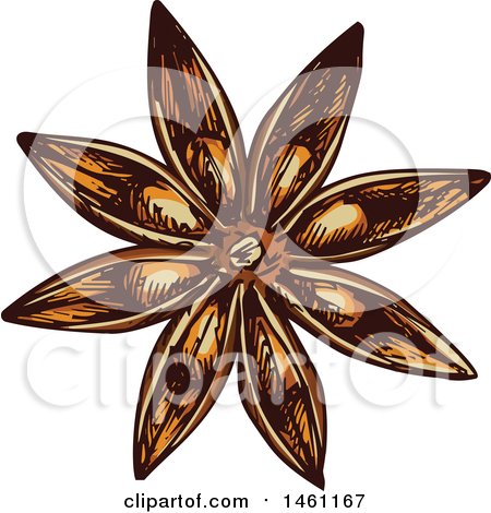Clipart of a Sketched Star Anise - Royalty Free Vector Illustration by Vector Tradition SM