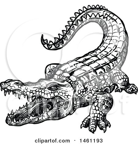 Clipart of a Sketched Crocodile - Royalty Free Vector Illustration by Vector Tradition SM
