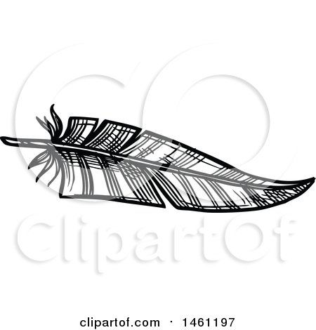 Clipart of a Sketched Feather - Royalty Free Vector Illustration by Vector Tradition SM