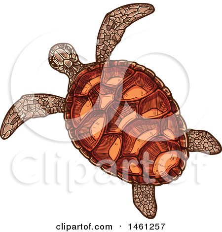 Clipart of a Sketched Sea Turtle - Royalty Free Vector Illustration by Vector Tradition SM
