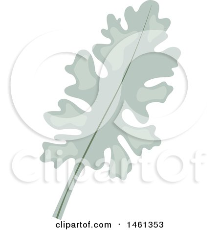 Clipart of a Dusty Miller Eucalyptus Leaf - Royalty Free Vector Illustration by Cherie Reve