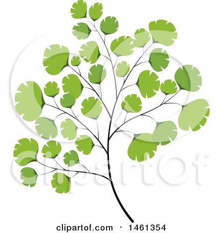Clipart of a Maiden Hair Fern Plant - Royalty Free Vector Illustration by Cherie Reve