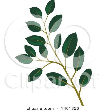 Clipart of a Green Magnolia Leaf Eucalyptus Branch - Royalty Free Vector Illustration by Cherie Reve