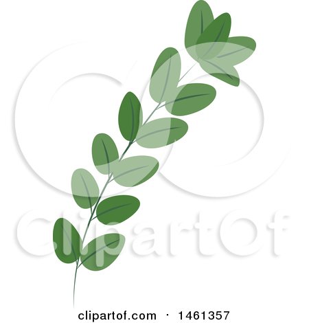 Clipart of a Green Eucalyptus Branch - Royalty Free Vector Illustration by Cherie Reve