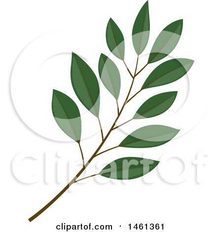 Clipart of a Green Salal Branch - Royalty Free Vector Illustration by Cherie Reve