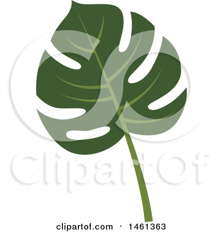 Clipart of a Split Leaf Philodendron Leaf - Royalty Free Vector Illustration by Cherie Reve